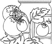 Coloriage Tomates pr&egrave;s d'un pot en verre