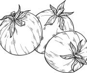 Coloriage Trois fruits tomates d&eacute;taill&eacute;s