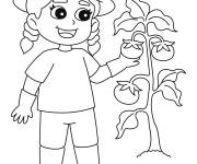 Coloriage Une petite fille pr&egrave;s d'une plante de tomate cp