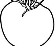 Coloriage Une tomate dessin&eacute;e par la main