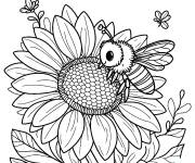 Coloriage Abeille qui ceuille le nocturne de Tournesol