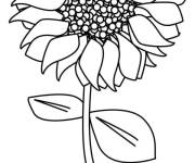 Coloriage Aper&ccedil;u de Tournesol
