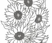Coloriage Bouquet de Tournesol pour enfant