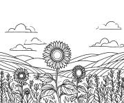 Coloriage Champ de Tournesol dans la compagne