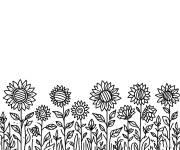 Coloriage Champ Tournesol en maternelle