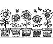 Coloriage Collection de Tournesols dans des pots