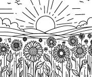 Coloriage Des plantes Tournesols en plein nature