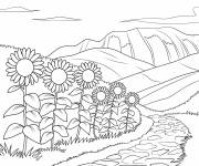 Coloriage Des tournesols poussent au bout du chemin