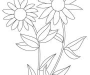 Coloriage Deux fleurs Tournesol styl&eacute;