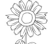 Coloriage Fleur Tournesol