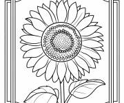 Coloriage Fleur tournesol avec des contours