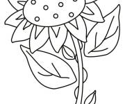 Coloriage et dessins gratuit Fleur Tournesol dor&eacute; à imprimer