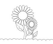 Coloriage Fleurs Tournesol pour maternelle