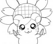 Coloriage Hamster devant un fleur de Tournesol