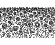 Coloriage Illustration de champ de Tournesol