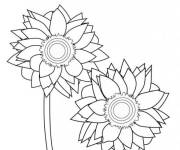 Coloriage Les p&eacute;tales de Tournesol s'ouvrent