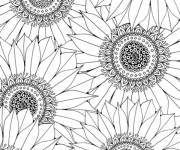 Coloriage Motifs de Tournesol