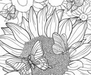 Coloriage Papillons sur le Tournesol