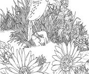 Coloriage Paysage r&eacute;aliste d'un oiseau parmi des Tournesols