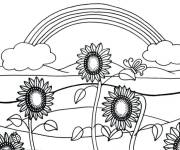 Coloriage Plantes de Tournesol sous l'arc en ciel