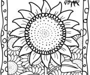 Coloriage Tableau de Tournesol