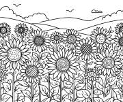 Coloriage Terrain ou on plante les Tournesols