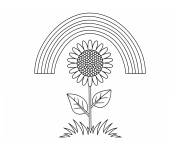 Coloriage Tige de tournesols sous un arc en ciel
