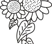 Coloriage Tournesol &agrave; r&eacute;colter