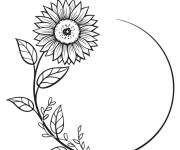 Coloriage Tournesol comme la lune