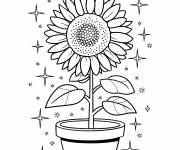 Coloriage tournesol dans un pot &agrave; motif en &eacute;toiles