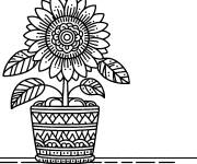 Coloriage Tournesol dans un pot anti stress