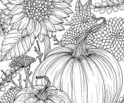 Coloriage Tournesol de l'automne