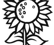 Coloriage Tournesol en noir gras
