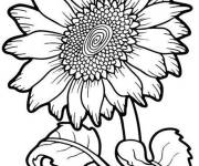 Coloriage Tournesol &eacute;norme plante