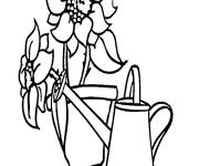 Coloriage Tournesol et arrosoir