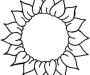 Coloriage Tournesol facile