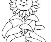 Coloriage Tournesol gentille