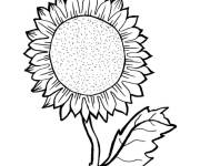Coloriage Tournesol maternelle