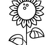 Coloriage et dessins gratuit Tournesol ou la raie à imprimer