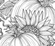 Coloriage Tournesol parmi les citrouilles