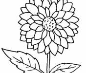 Coloriage Tournesol PS
