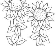 Coloriage Tournesols &agrave; relier
