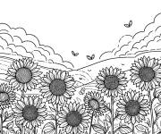 Coloriage Tournesols botaniques