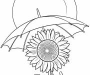 Coloriage tournesols se prot&egrave;ge du soleil &agrave; l'aide d'une parapluie