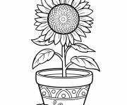 Coloriage Un tournesol dans un pot pr&ecirc;t d'une chenille