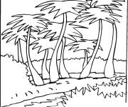 Coloriage et dessins gratuit Contour d'ile tropicale et de cocotiers à imprimer