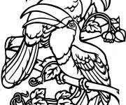 Coloriage Deux toucans dans la foret tropicale