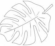 Coloriage Feuille de palmier tropicale