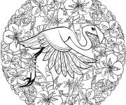 Coloriage Flamand-rose tropicale