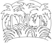 Coloriage For&ecirc;t tropicale